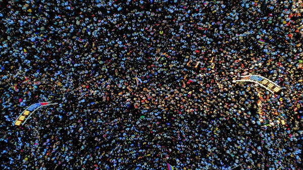 Mlle champêtre : l'art du mariage bucolique à paris